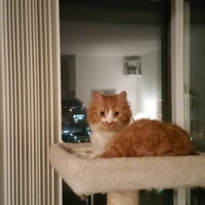 Meet your Posher, Jaime